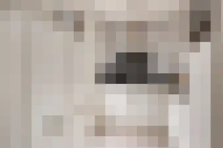 Het Bakhuis 52 Apeldoorn thumbnail 9