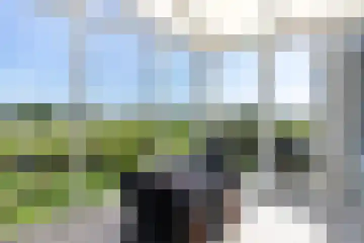Het Bastion 35 Dieren thumbnail 15