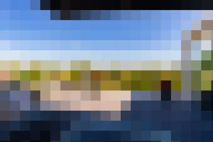 Het Bastion 35 Dieren thumbnail 17