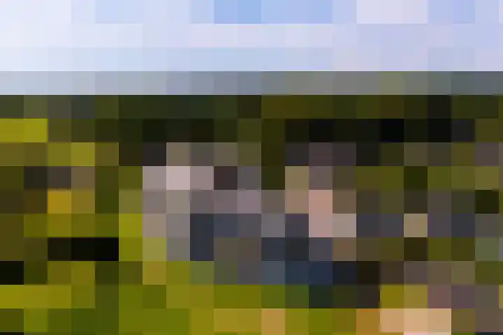Het Bastion 35 Dieren thumbnail 26