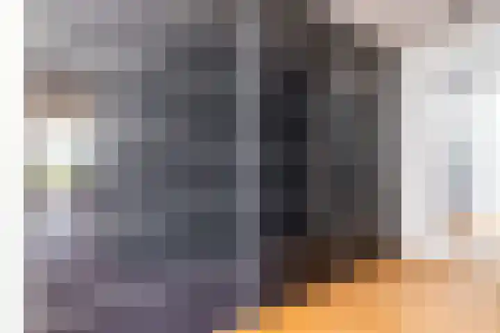 Het Bastion 35 Dieren thumbnail 31