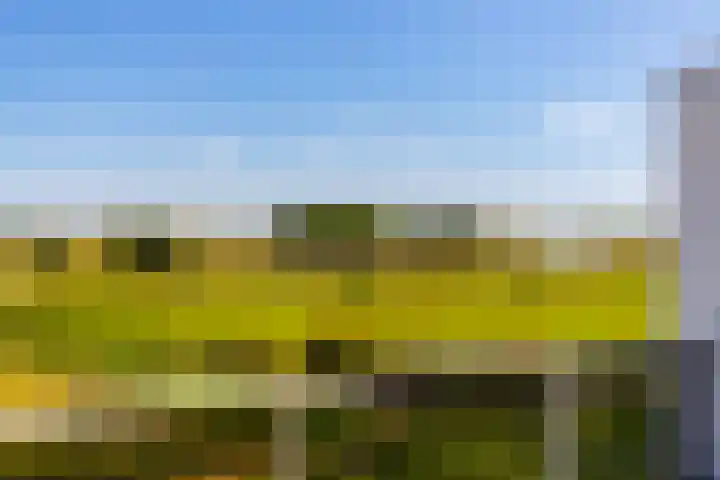 Het Bastion 35 Dieren thumbnail 49
