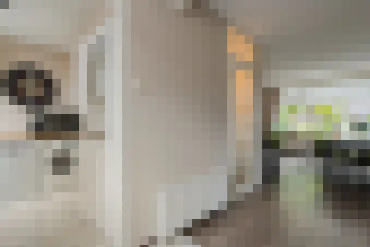 Het Bastion 46 Balkbrug thumbnail 12