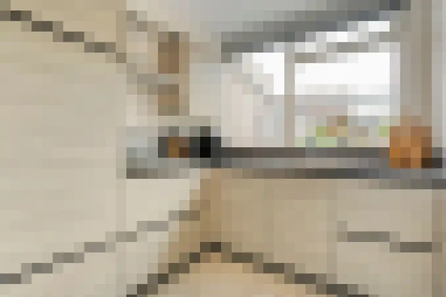 Het Bastion 46 Balkbrug thumbnail 13