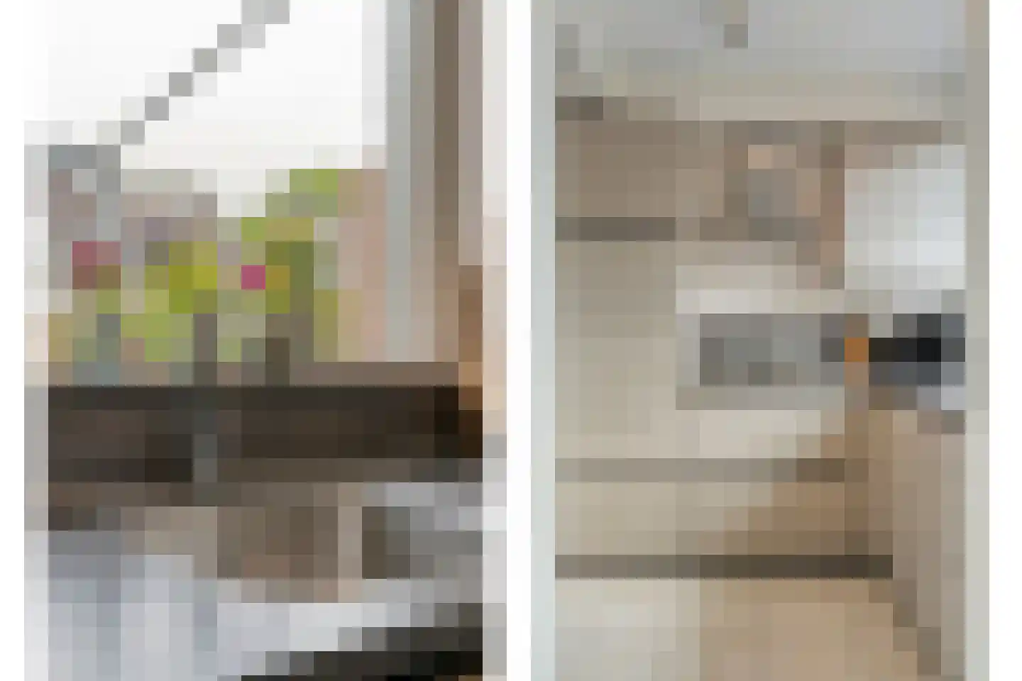 Het Bastion 46 Balkbrug thumbnail 16