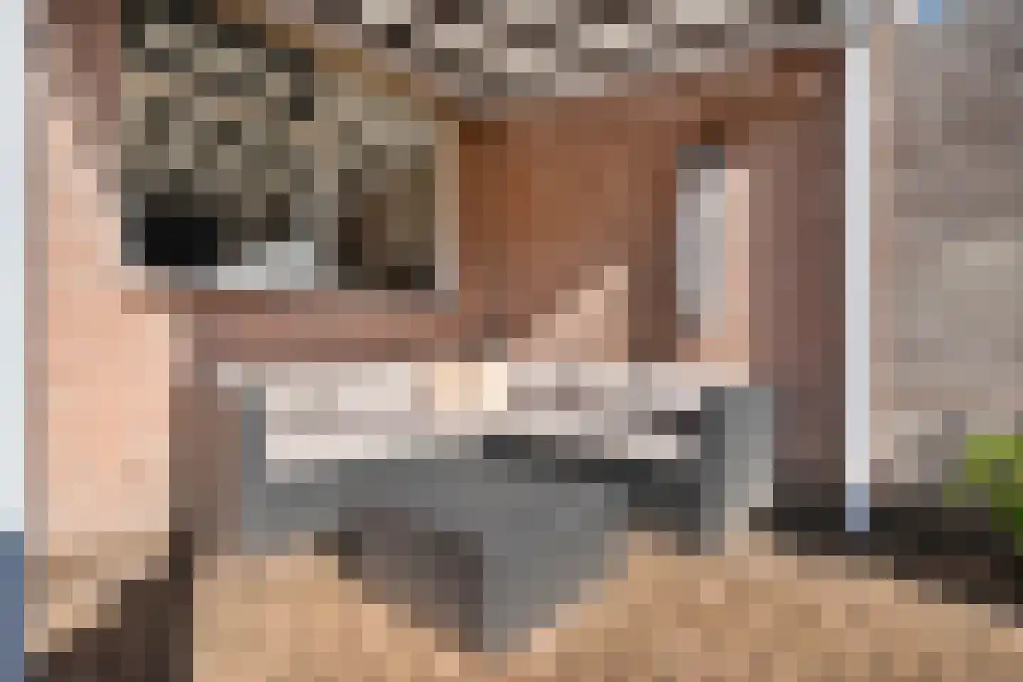 Het Bastion 46 Balkbrug thumbnail 32