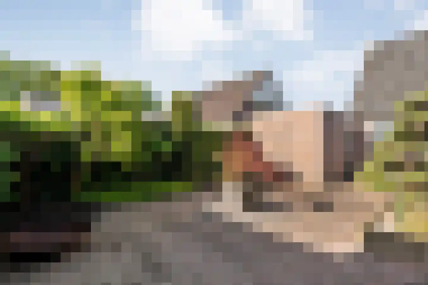 Het Bastion 46 Balkbrug thumbnail 34
