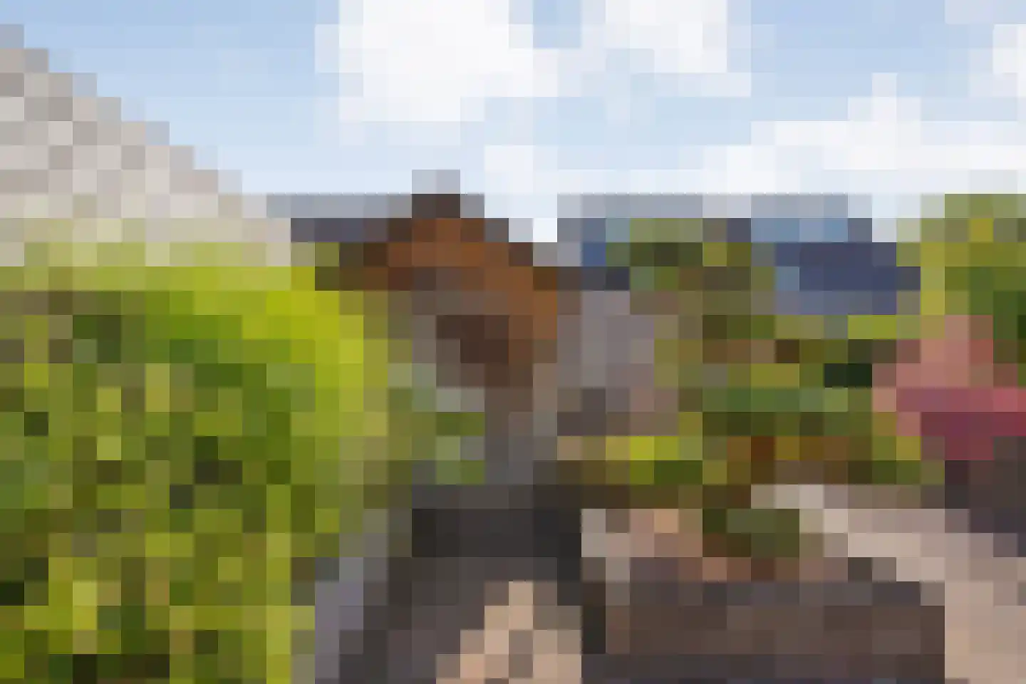 Het Bastion 46 Balkbrug thumbnail 36