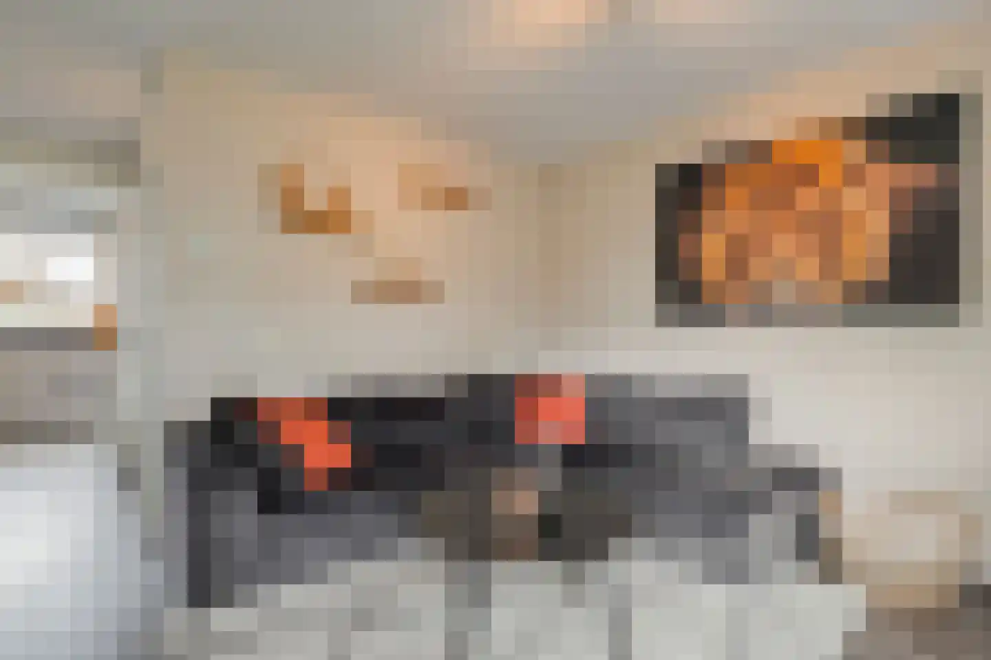 Het Bastion 46 Balkbrug thumbnail 7