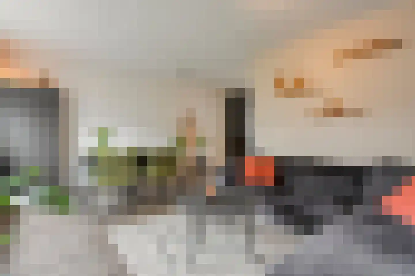 Het Bastion 46 Balkbrug thumbnail 8