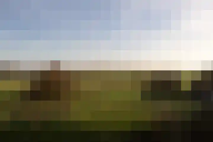 Het Bastion 48 Dieren thumbnail 10