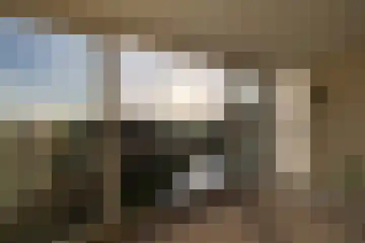 Het Bastion 48 Dieren thumbnail 9