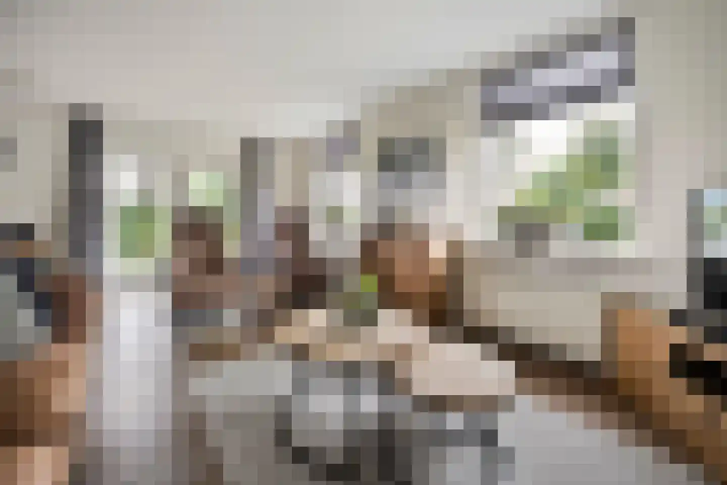 Het Bastion 56 Balkbrug thumbnail 12