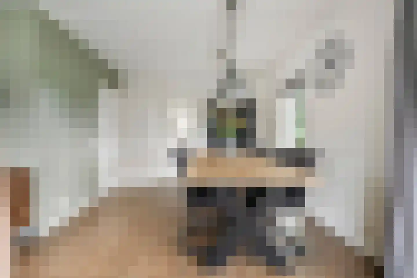 Het Bastion 56 Balkbrug thumbnail 16