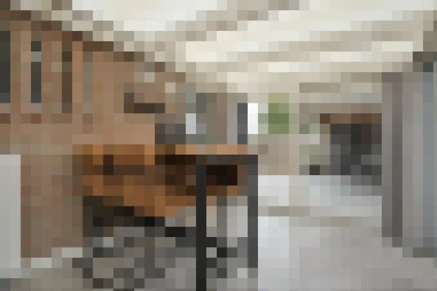 Het Bastion 56 Balkbrug thumbnail 22