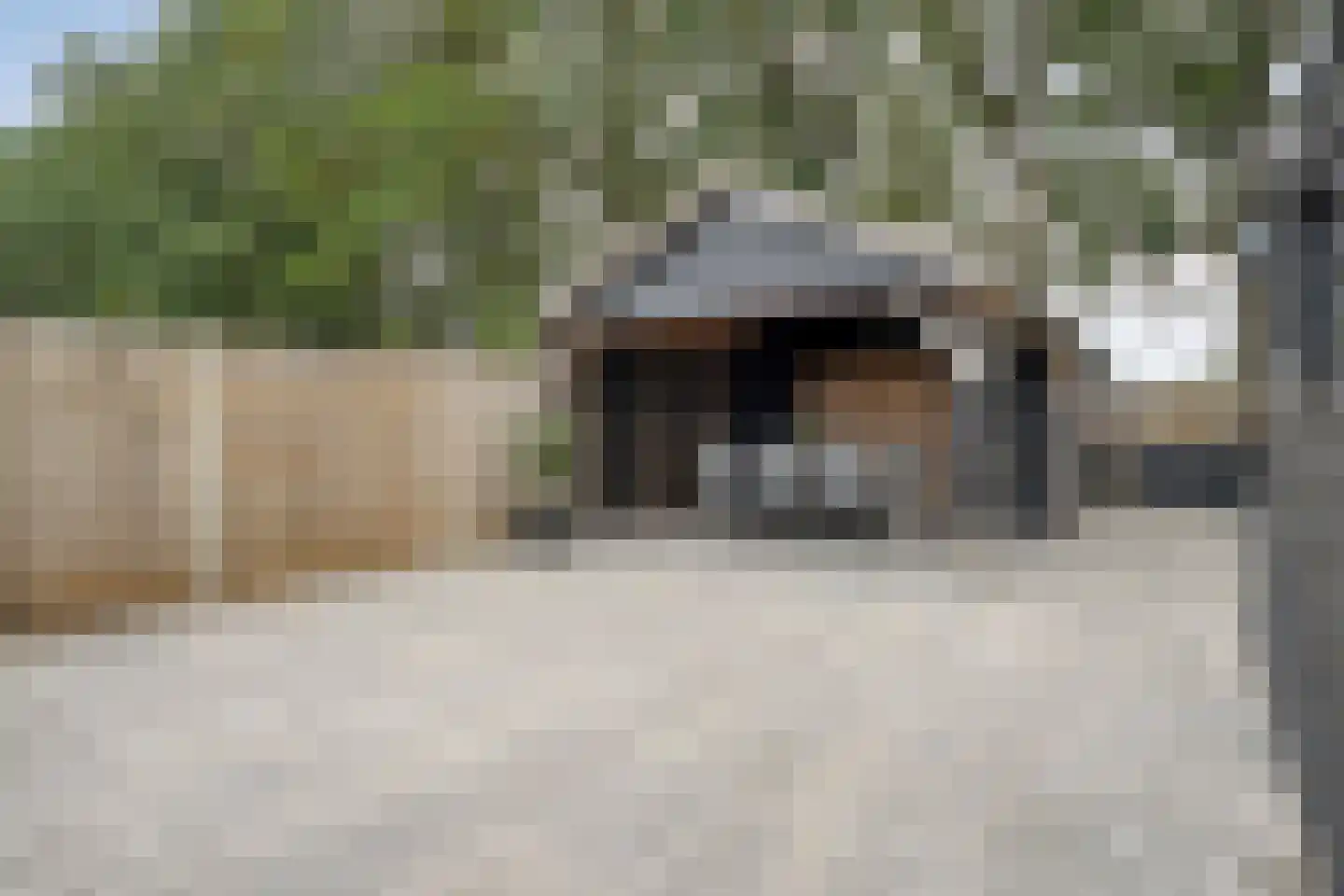 Het Bastion 56 Balkbrug thumbnail 47