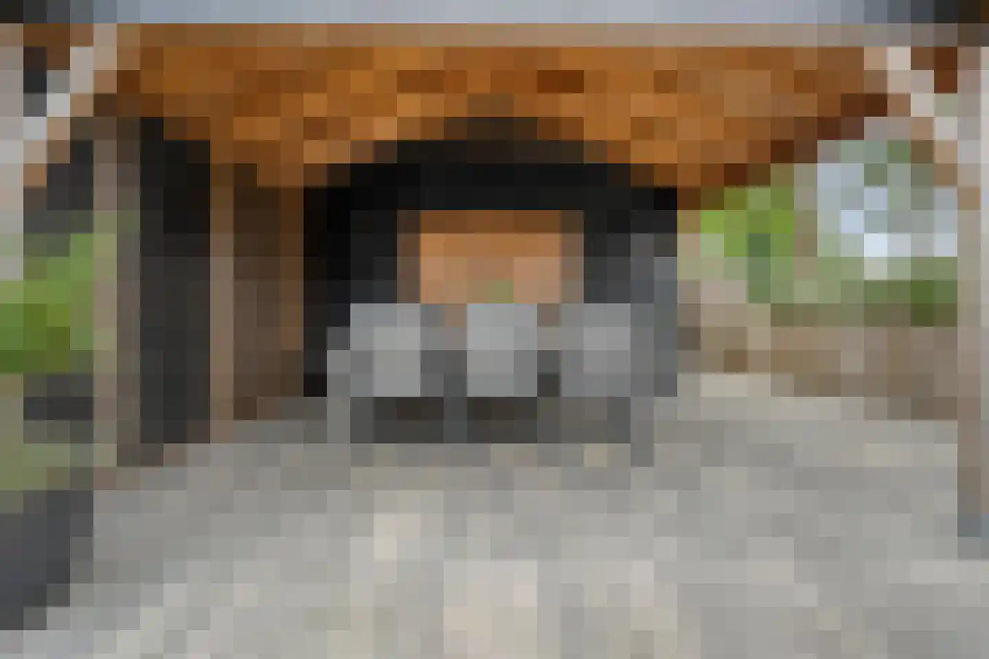 Het Bastion 56 Balkbrug thumbnail 49