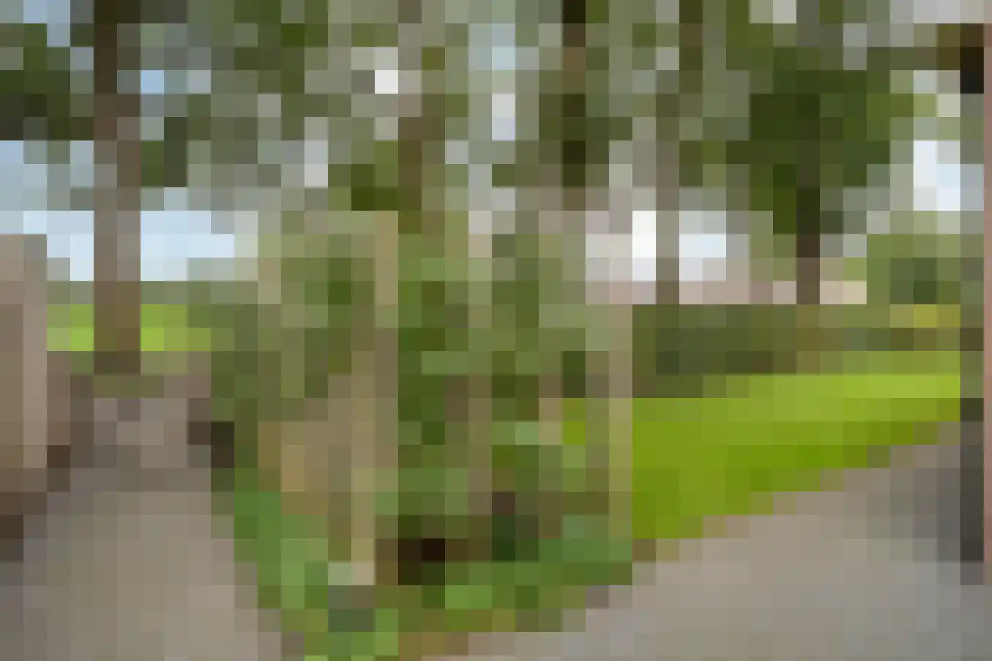 Het Bastion 56 Balkbrug thumbnail 52