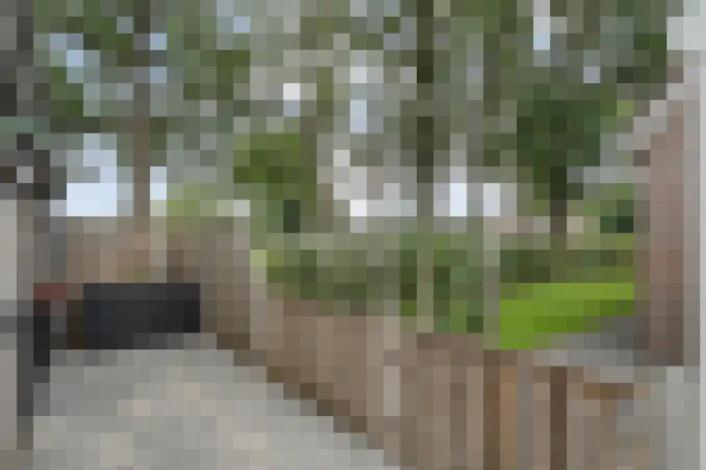 Het Bastion 56 Balkbrug thumbnail 55