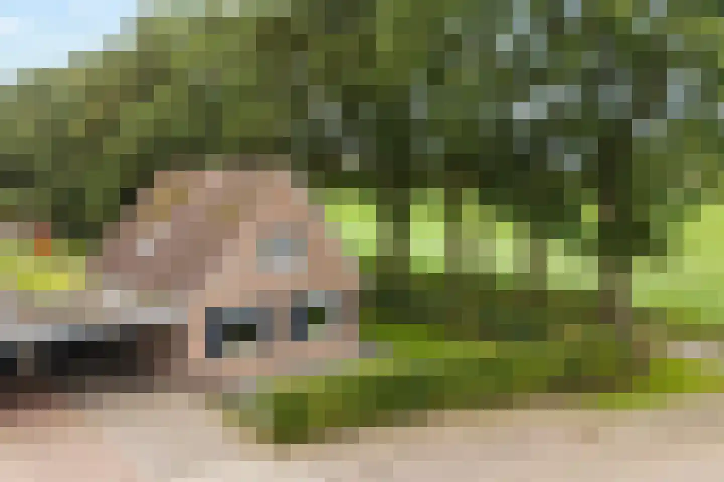 Het Bastion 56 Balkbrug thumbnail 6