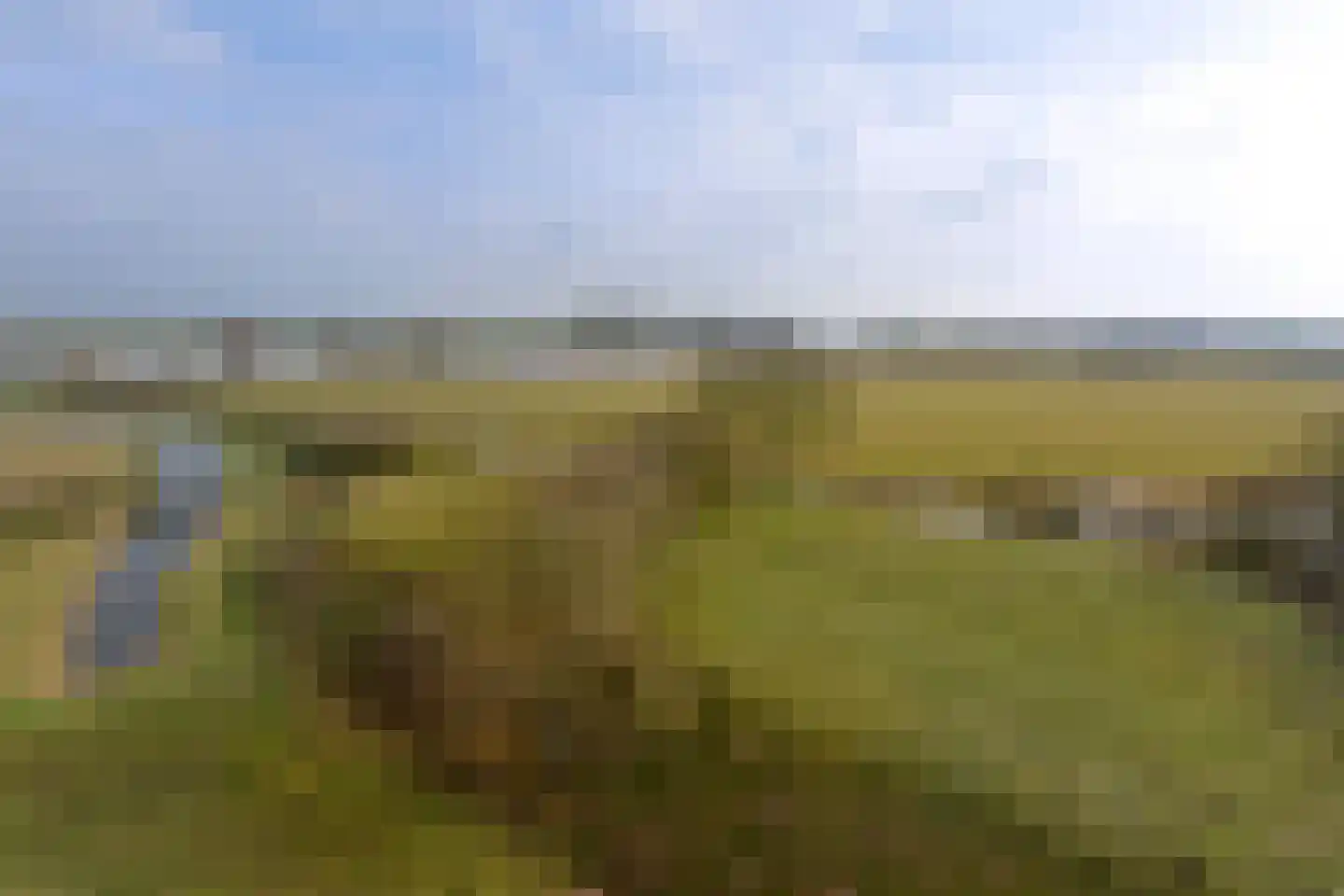 Het Bastion 57 Dieren thumbnail 24