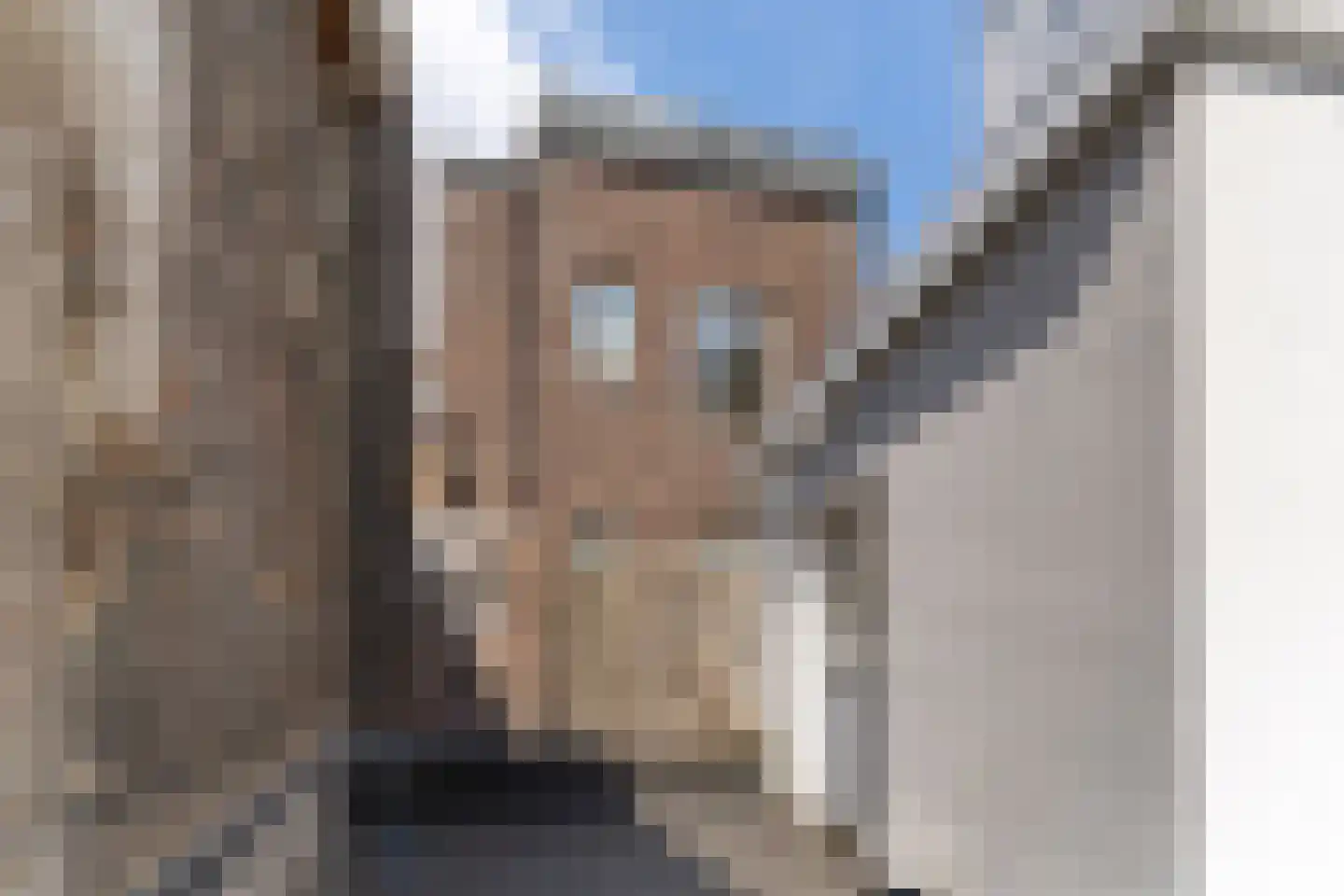 Het Bat 23 B Maastricht thumbnail 14