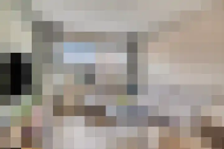 het Bentman 23 Losser thumbnail 10