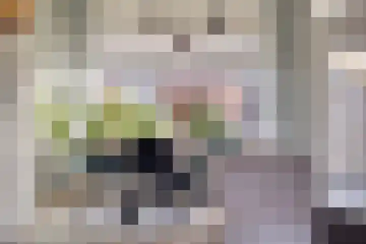 het Bentman 23 Losser thumbnail 11