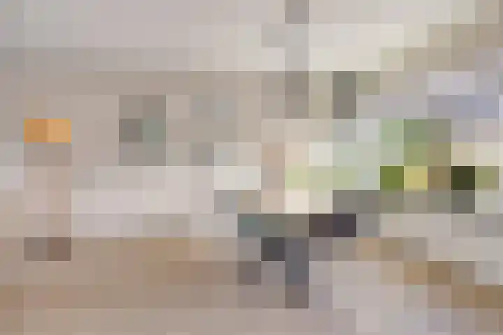 het Bentman 23 Losser thumbnail 12