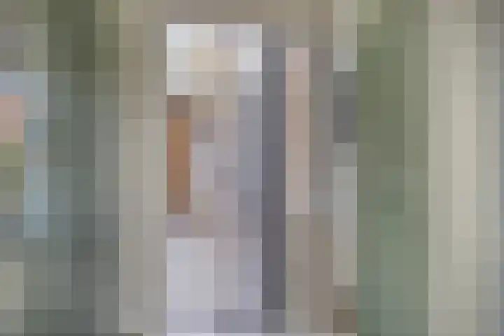 het Bentman 23 Losser thumbnail 19