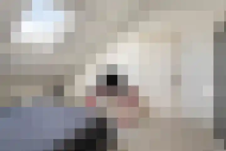het Bentman 23 Losser thumbnail 32