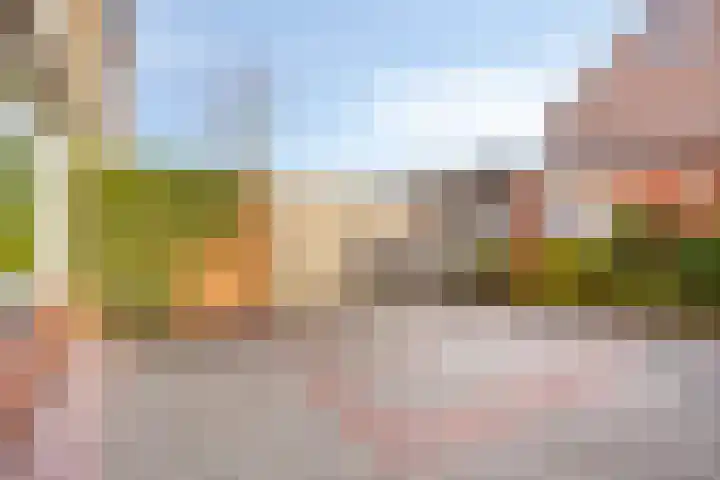 het Bentman 23 Losser thumbnail 33