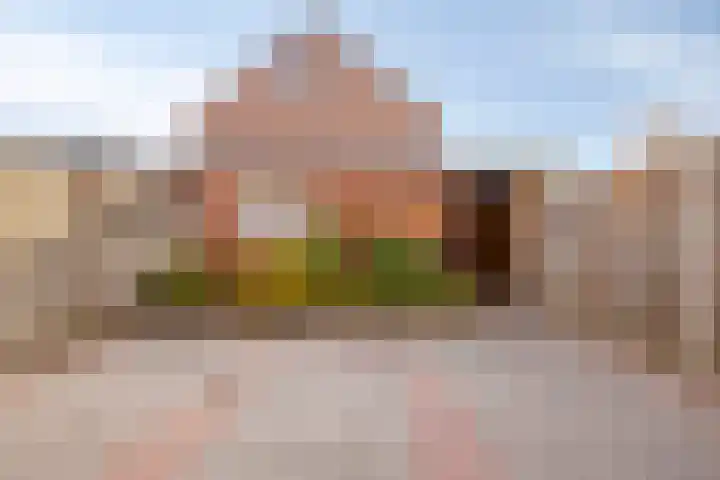 het Bentman 23 Losser thumbnail 34