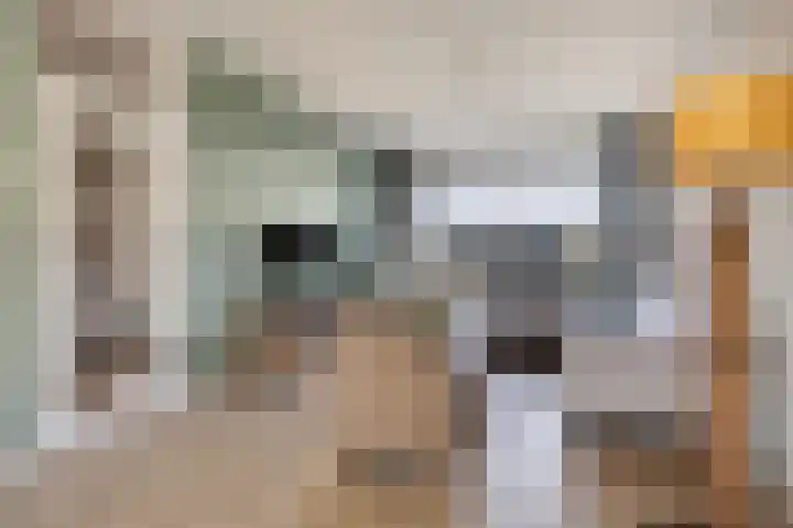 het Bentman 23 Losser thumbnail 8