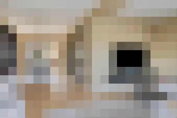 het Bentman 25 Losser thumbnail 10