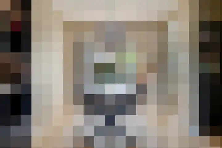 het Bentman 25 Losser thumbnail 11