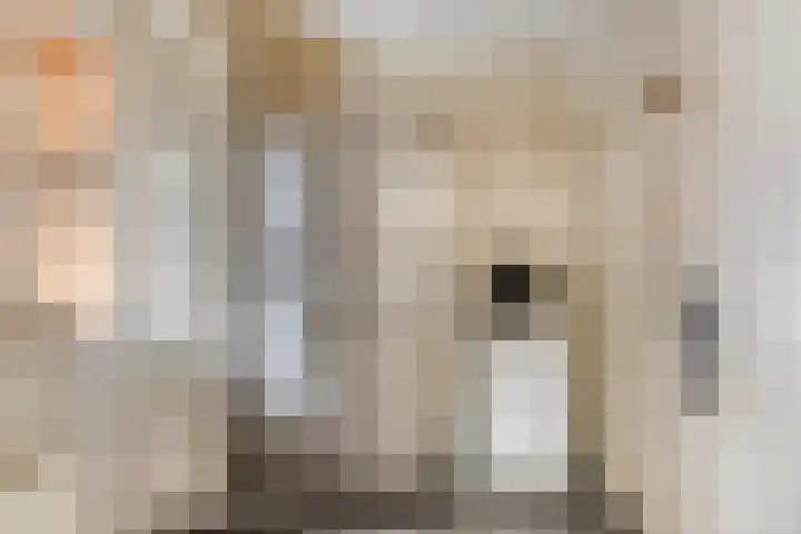het Bentman 25 Losser thumbnail 18