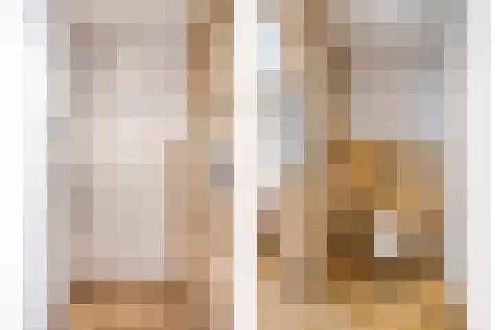 het Bentman 25 Losser thumbnail 26