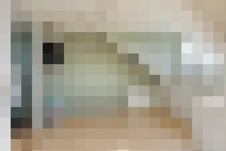 het Bentman 25 Losser thumbnail 33