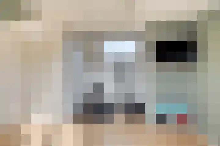 het Bentman 25 Losser thumbnail 34