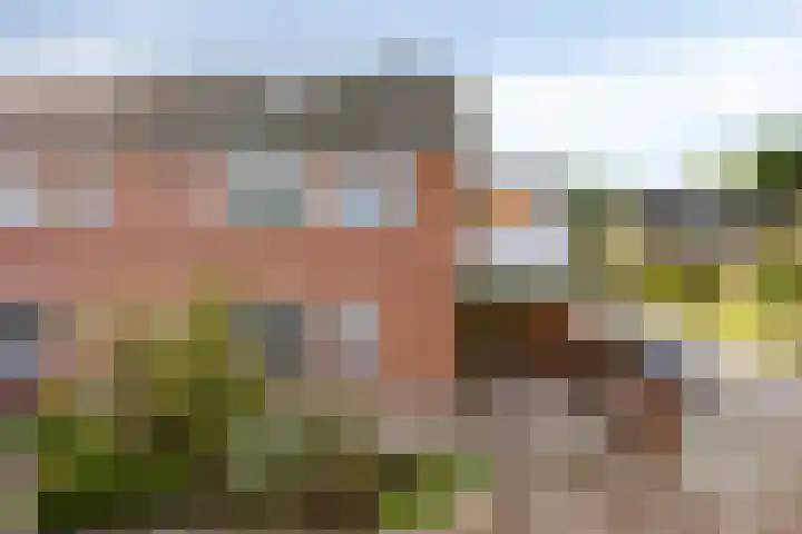 het Bentman 25 Losser thumbnail 4
