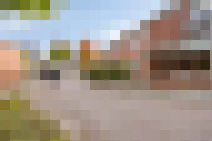 het Bentman 25 Losser thumbnail 41