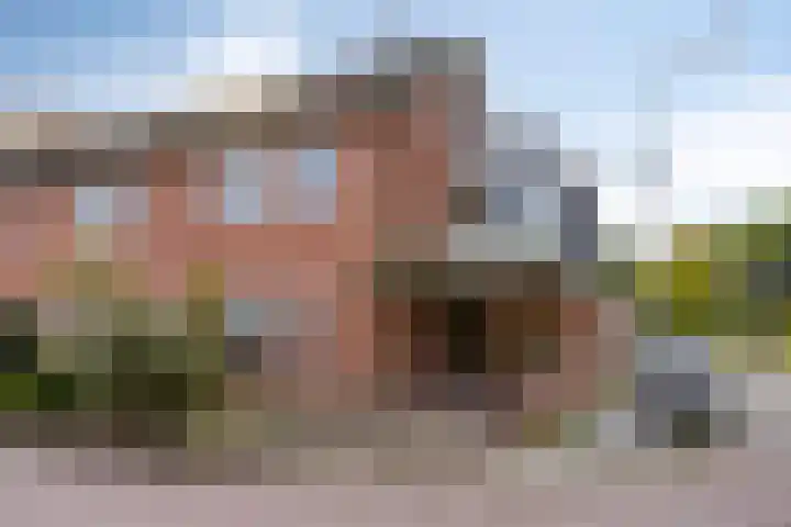 het Bentman 25 Losser thumbnail 43