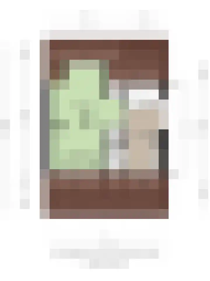 het Bentman 25 Losser thumbnail 46