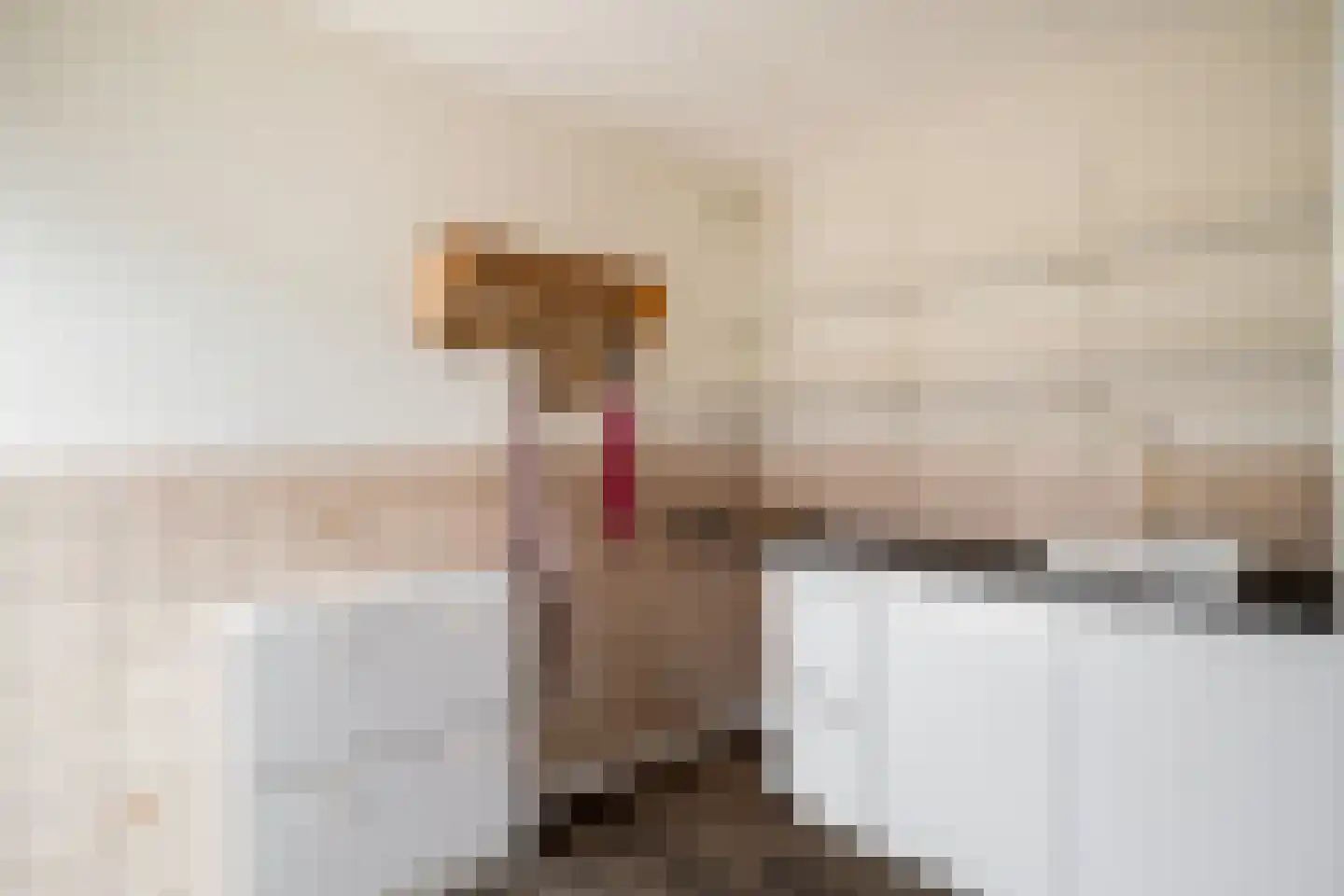 het Bentman 28 Losser thumbnail 13