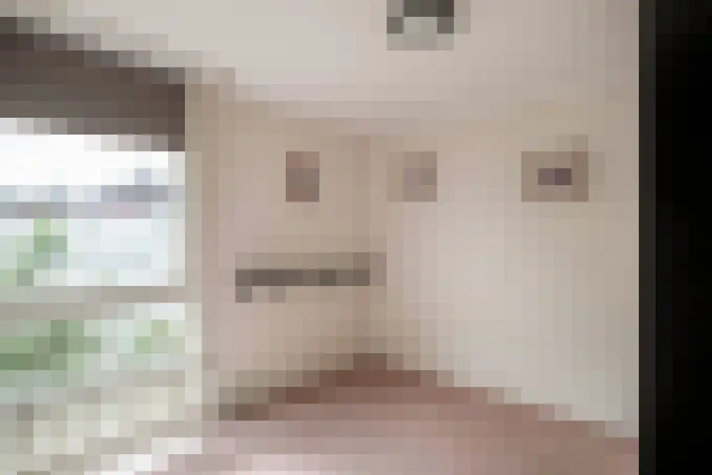 het Bentman 28 Losser thumbnail 19