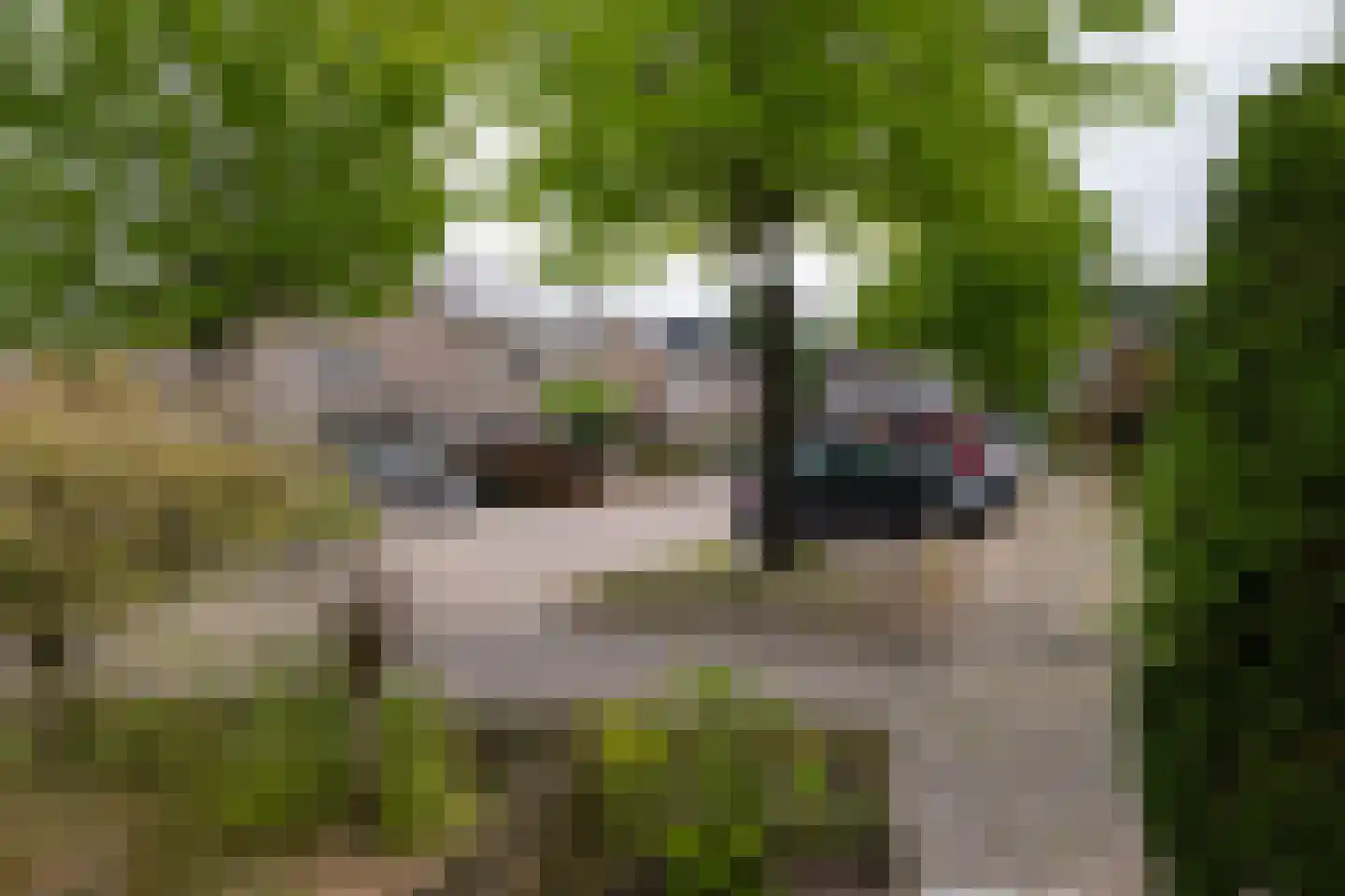 het Bentman 28 Losser thumbnail 25