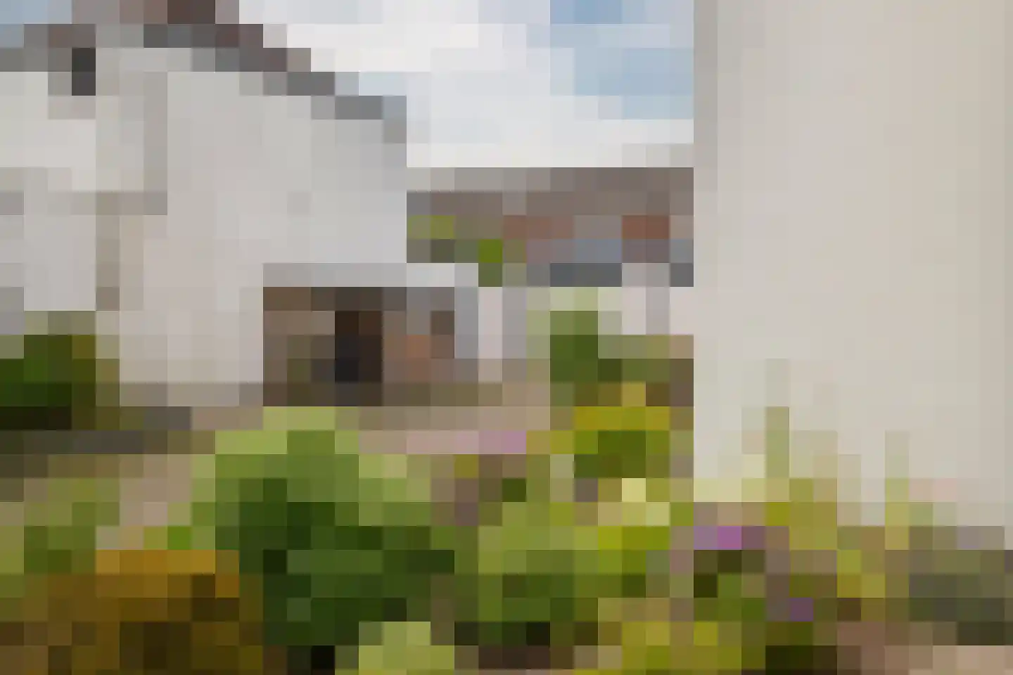 het Bentman 28 Losser thumbnail 27
