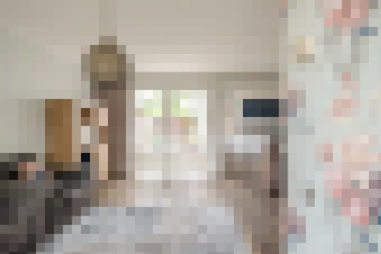 het Bentman 28 Losser thumbnail 9
