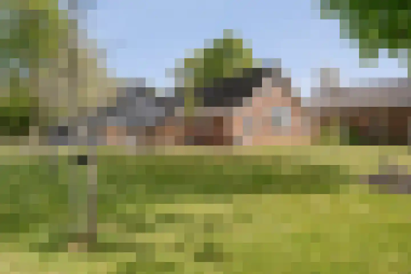 Het Bergje 2 Dedemsvaart